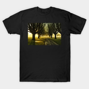 Llandaff Fields#6 T-Shirt